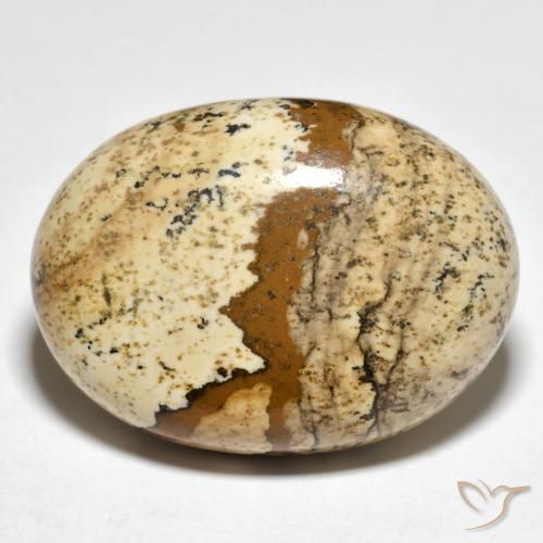 24.19ct Naturel Multicolore Jaspe, ovale, Opaque