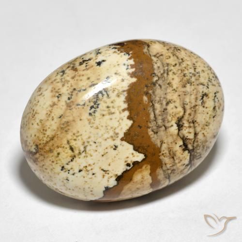Jaspe Multicolore naturelle ovale, 24.19 ct, Opaque