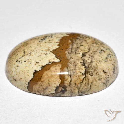 Jaspe Multicolore naturelle ovale, 24.19 ct, Opaque