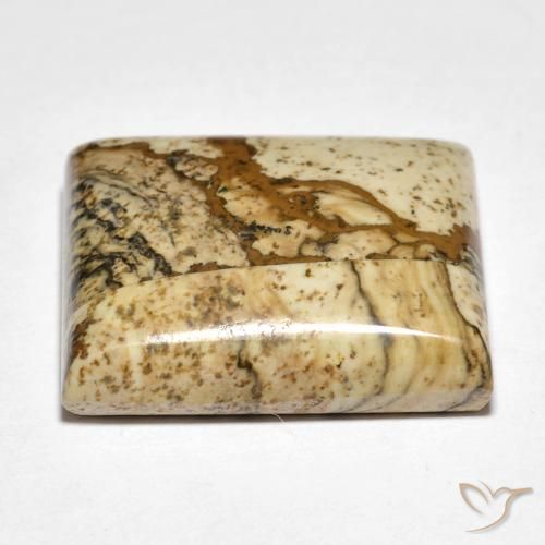Jaspe Multicolore naturelle Carré, 18.09 ct, Opaque