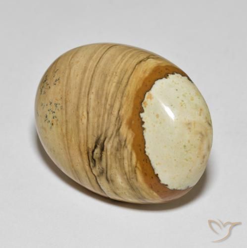 Jaspe Multicolore naturelle ovale, 41.24 ct, Opaque