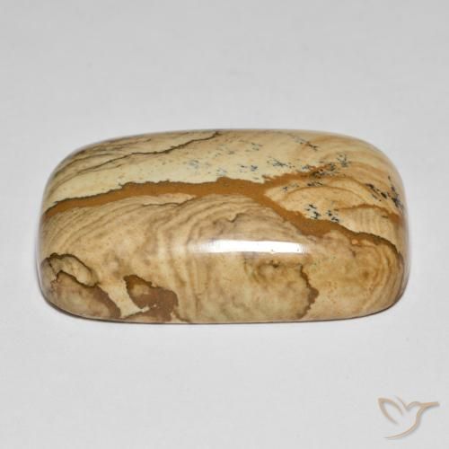 Jaspe Multicolore naturelle Coussin, 62.57 ct, Opaque