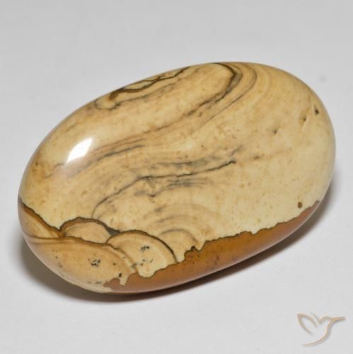55.34ct Naturel Multicolore Jaspe, ovale, Opaque