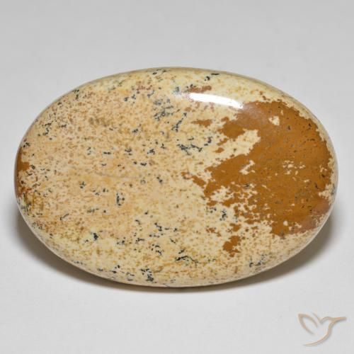 52.82ct Naturel Multicolore Jaspe, ovale, Opaque
