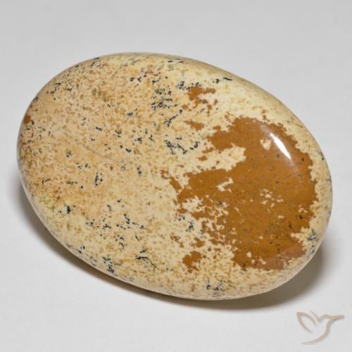 Jaspe Multicolore naturelle ovale, 52.82 ct, Opaque