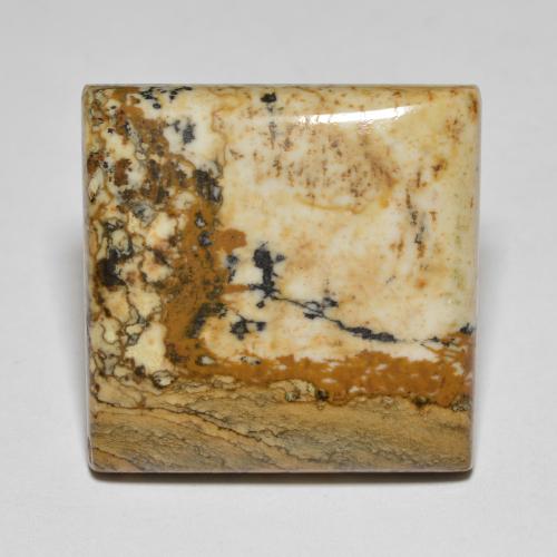 Jaspe multicolore naturelle carré, 27,66 ct, opaque