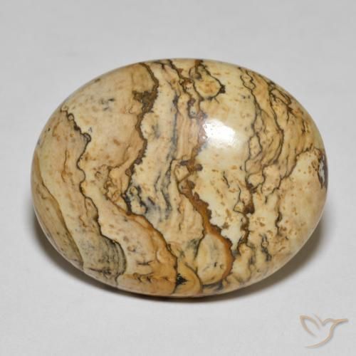 25.04ct Naturel Multicolore Jaspe, ovale, Opaque