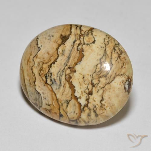 Jaspe Multicolore naturelle ovale, 25.04 ct, Opaque