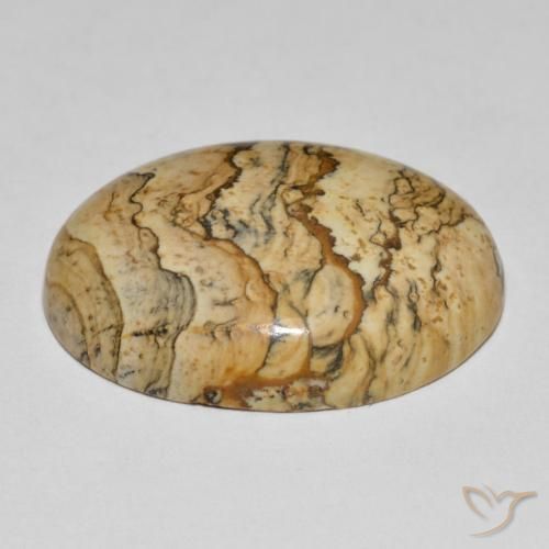 Jaspe Multicolore naturelle ovale, 25.04 ct, Opaque