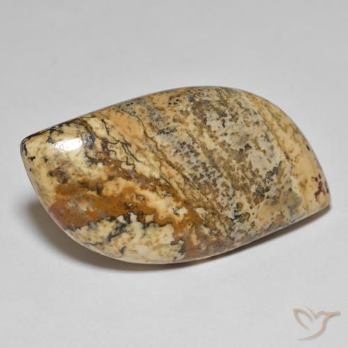 Jaspe Multicolore naturelle Fantaisie, 35.50 ct, Opaque