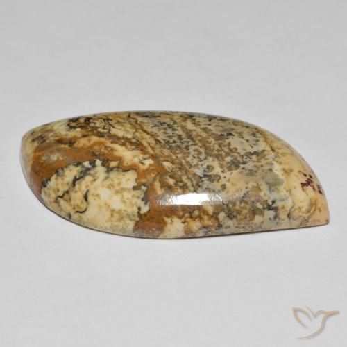 Jaspe Multicolore naturelle Fantaisie, 35.50 ct, Opaque