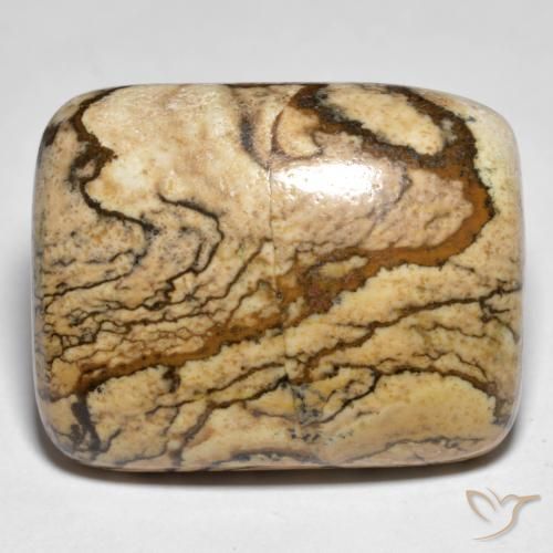 32.92ct Naturel Multicolore Jaspe, Coussin, Opaque