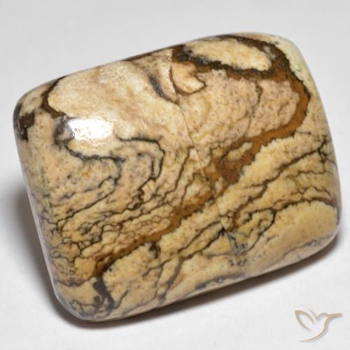 Jaspe Multicolore naturelle Coussin, 32.92 ct, Opaque