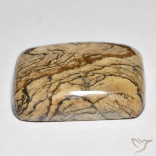 Jaspe Multicolore naturelle Coussin, 32.92 ct, Opaque