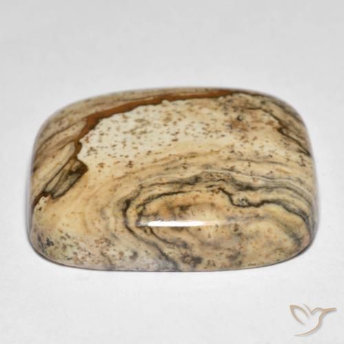 Jaspe Multicolore naturelle Coussin, 31.61 ct, Opaque