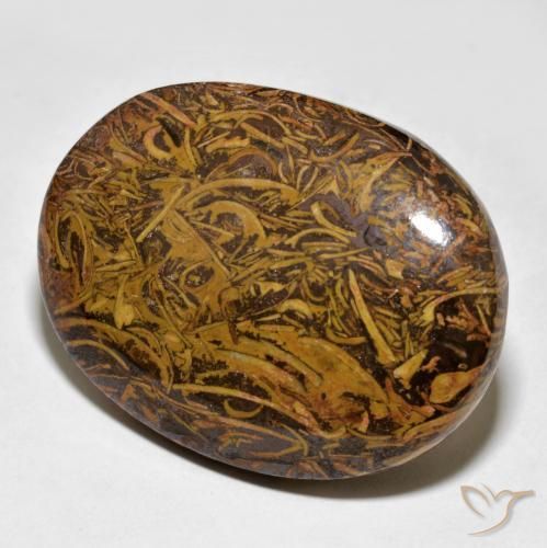 62.43ct Naturel Multicolore Jaspe, ovale, Opaque