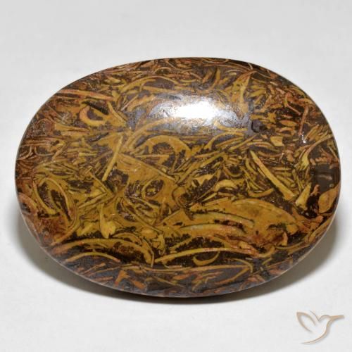 Jaspe Multicolore naturelle ovale, 62.43 ct, Opaque