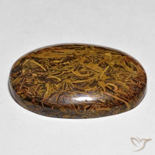 Jaspe Multicolore naturelle ovale, 62.43 ct, Opaque