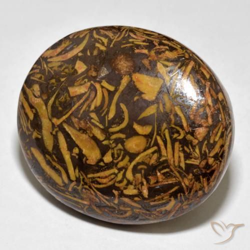 58.00ct Naturel Brun pain d'épices Jaspe, ovale, Opaque