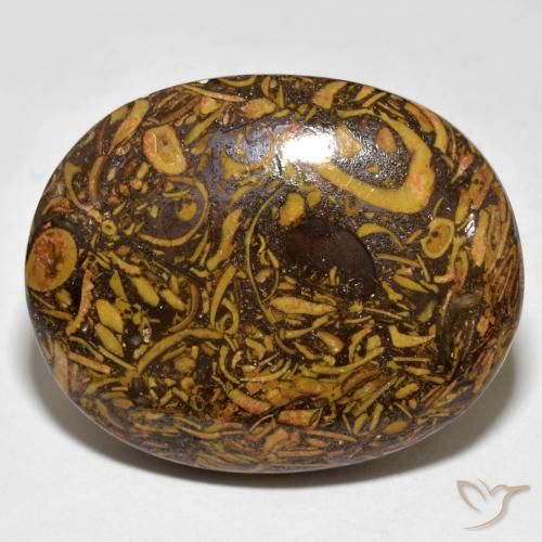 Jaspe Brun pain d'épices naturelle ovale, 61.03 ct, Opaque