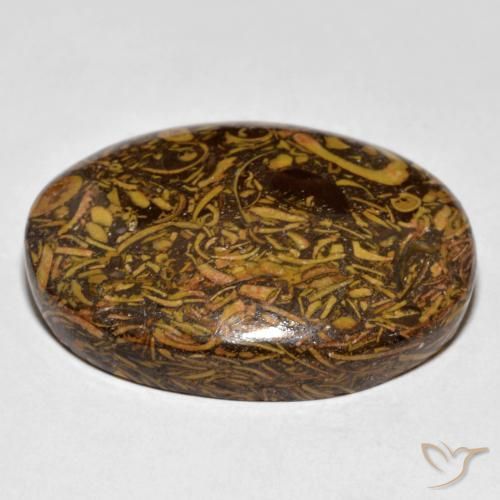 Jaspe Brun pain d'épices naturelle ovale, 61.03 ct, Opaque