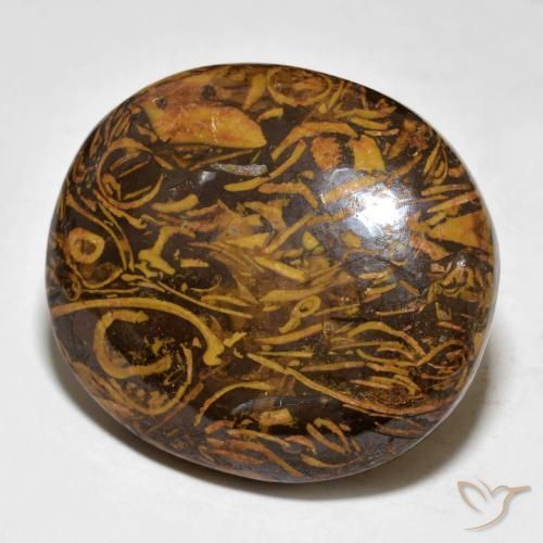 Jaspe Brun moyen-foncé naturelle ovale, 57.64 ct, Opaque