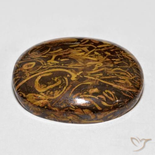 Jaspe Brun moyen-foncé naturelle ovale, 57.64 ct, Opaque