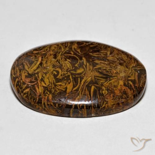 Jaspe Brun doré naturelle ovale, 63.72 ct, Opaque