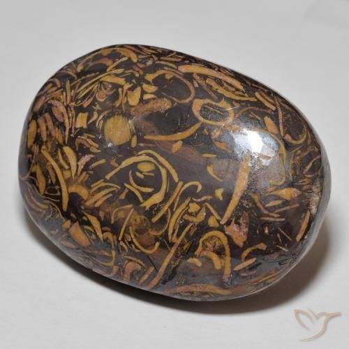 Jaspe Multicolore naturelle ovale, 75.13 ct, Opaque