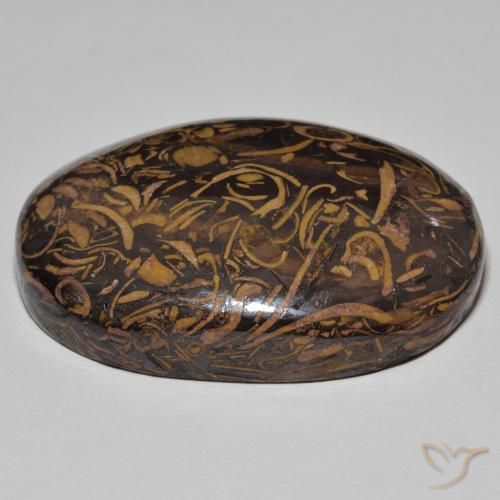 Jaspe Multicolore naturelle ovale, 75.13 ct, Opaque