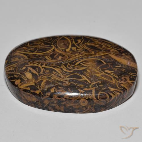 Jaspe Multicolore naturelle ovale, 91.29 ct, Opaque