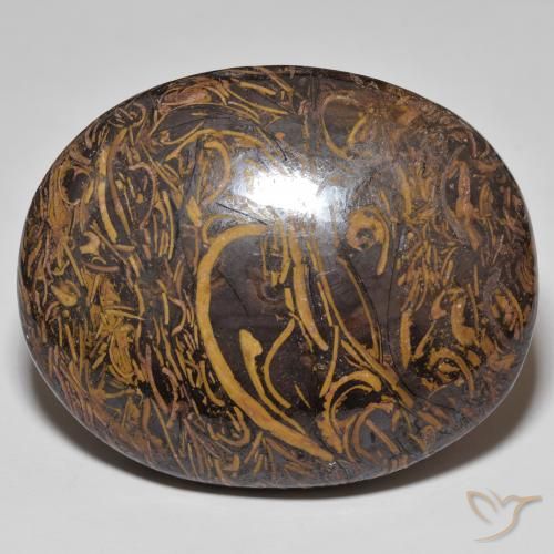 120.47ct Naturel Multicolore Jaspe, ovale, Opaque