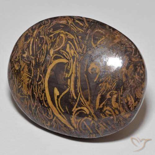 Jaspe Multicolore naturelle ovale, 120.47 ct, Opaque