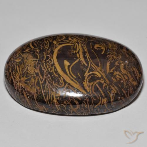 Jaspe Multicolore naturelle ovale, 120.47 ct, Opaque