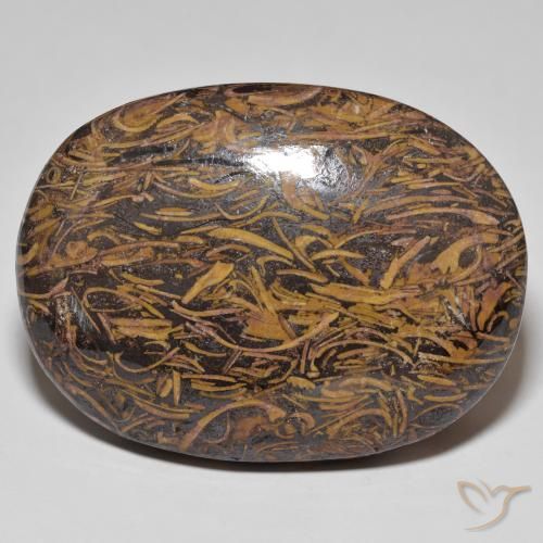 92.62ct Naturel Multicolore Jaspe, ovale, Opaque
