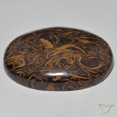 Jaspe Multicolore naturelle ovale, 81.97 ct, Opaque