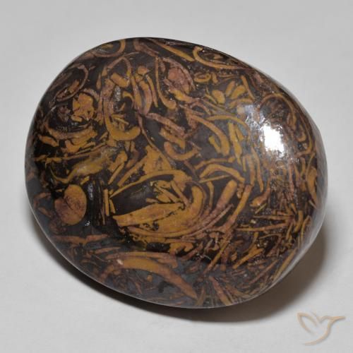 Jaspe Multicolore naturelle ovale, 62.01 ct, Opaque