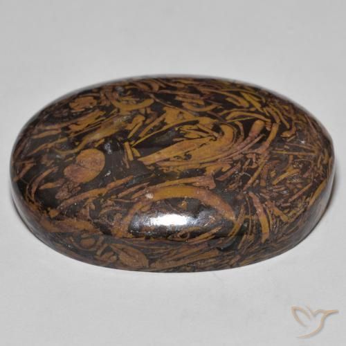 Jaspe Multicolore naturelle ovale, 62.01 ct, Opaque