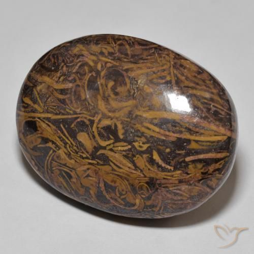 56.86ct Naturel Multicolore Jaspe, ovale, Opaque