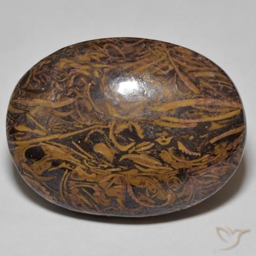 Jaspe Multicolore naturelle ovale, 56.86 ct, Opaque