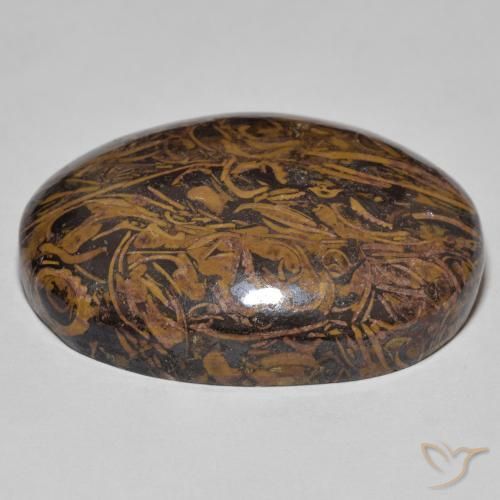 Jaspe Multicolore naturelle ovale, 56.86 ct, Opaque