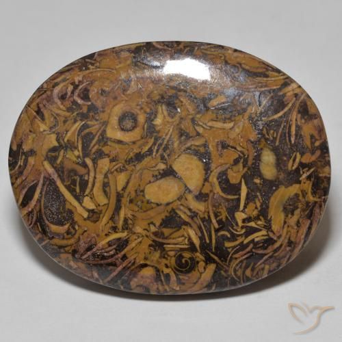 58.13ct Naturel Multicolore Jaspe, ovale, Opaque