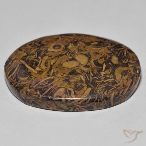 Jaspe Multicolore naturelle ovale, 58.13 ct, Opaque