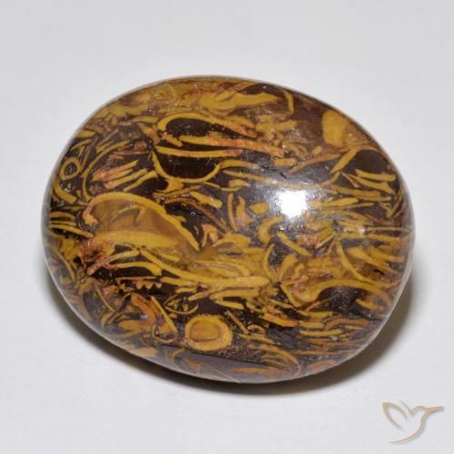 Jaspe Multicolore naturelle ovale, 35.02 ct, Opaque