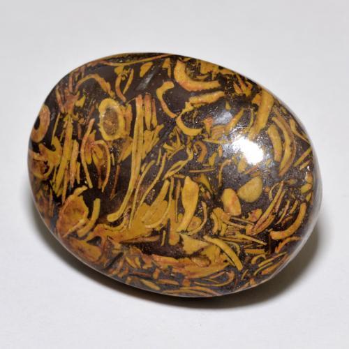 Jaspe multicolore naturelle coupe ovale, 37,59 ct, opaque