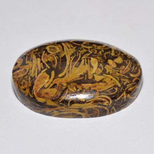 Jaspe multicolore naturelle coupe ovale, 37,59 ct, opaque