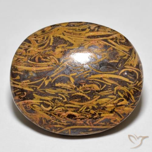 46.21ct Naturel Multicolore Jaspe, ovale, Opaque