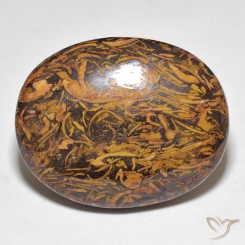 48.67ct Naturel Multicolore Jaspe, ovale, Opaque