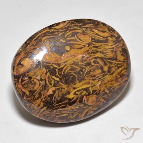 Jaspe Multicolore naturelle ovale, 48.67 ct, Opaque