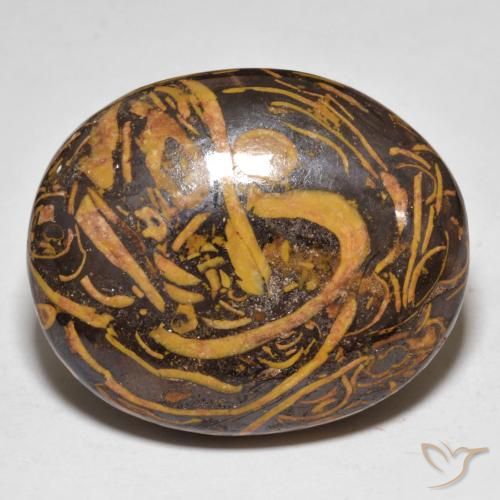 48.68ct Naturel Multicolore Jaspe, ovale, Opaque